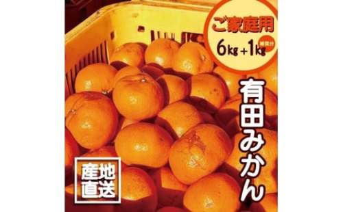 【訳あり】有田みかん 6kg＋1kg 保証分 2S～3Lサイズ混合 2104247 - 和歌山県有田川町
