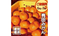 【訳あり】有田みかん 6kg＋1kg 保証分 2S～3Lサイズ混合
