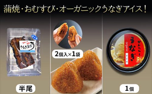 うなぎの蒲焼半尾約60g/うなぎ入りおむすび2個入1袋/うなぎアイス2個セット うなぎ 鰻 ウナギ 蒲焼 アイス おむすび おにぎり おやつ デザート スイーツ セット 冷凍 国産鰻 浜松市 静岡県 2104264 - 静岡県浜松市