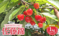 さくらんぼ 佐藤錦 2L 1kg 贈答用 ＜佐藤幸男農園＞ さくらんぼ サクランボ チェリー デザート フルーツ 果物 くだもの 果実 食品 F7X-0278