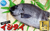 ＼レビューキャンペーン中/ イシダイ 内臓処理済み 1kg以上(1匹) / 石鯛 魚 お魚 さかな 食品 海の幸 海鮮 カイセン 塩焼き 煮付け 内臓処理済み 冷蔵 海鮮類 焼き魚 和歌山県 由良町 [skmn020]