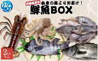 ＼レビューキャンペーン中/ 鮮魚BOX 内臓処理済み 2kg以上 (魚種おまかせ) / 魚 お魚 さかな 食品 海の幸 海鮮 カイセン 塩焼き 煮付け 内臓処理済み 冷蔵 海鮮類 焼き魚 タコ スズキ メバル 和歌山県 由良町 [skmn025]