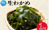 ＼レビューキャンペーン中／ 生わかめ 1kg【来シーズン先行予約】※2026年2月上旬頃～順次発送予定 / 食品 海の幸 海鮮 カイセン 海鮮類 ワカメ 生ワカメ 酢の物 サラダ 簡単調理 お味噌汁 和歌山県 由良町 【skmn028】