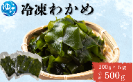 ＼レビューキャンペーン中／ 冷凍わかめ 100g×5袋【令和7年度産】 / 食品 海の幸 海鮮 小分け カイセン海鮮類 ワカメ 冷凍ワカメ 酢の物 サラダ 簡単調理 お味噌汁 冷凍 和歌山県 由良町 【skmn030】