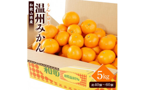 ［先行予約］［2025年11月初旬頃から順次発送予定］ 和歌山県産温州みかん 約5kg（40個～60個）秀品 こだわり農家厳選！［KG31］ 2104935 - 和歌山県那智勝浦町