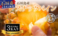 【先行予約】石垣島産 中玉スナックパイン（ボゴール）3玉 合計約3kg 《2025年夏季 順次発送》SI-110