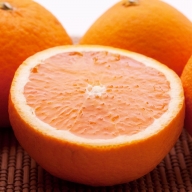 ＜2月より発送＞家庭用きよみオレンジ8kg+240g（傷み補償分）　【光センサー選果】【樹上完熟清見オレンジ・清見タンゴール・清美】【訳あり・わけあり】