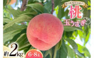 [期間限定発送] 桃 玉うさぎ 2kg (6〜8玉) [東城農園 山形県 高畠町 tk06ayt370003] もも モモ 果物 くだもの フルーツ 冷蔵