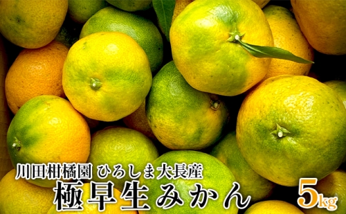川田柑橘園 ひろしま大長産 「極早生みかん」5kg