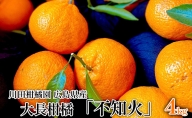川田柑橘園 広島県産 大長柑橘 「不知火」4kg
