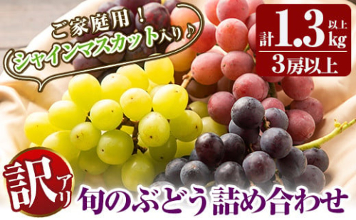 A0-248 ＜先行予約受付中！2025年8月下旬～10月末までの間に発送予定＞《訳あり・数量限定》シャインマスカット入り旬のぶどう・ご家庭用詰め合わせ(計1.3kg以上・3房以上)【二月田ぶどう園】 210522 - 鹿児島県霧島市