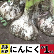 ＜先行予約受付中！2025年6月下旬より準備ができ次第発送＞農家直送 鹿児島県産 にんにく(計1kg)