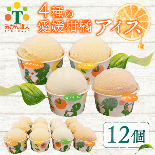 柑橘アイス カップ 12個 (4種 各3個入り) 【夢おれんじ 河内晩柑 愛媛みかん しらぬい 】 アイス ジェラート シャーベット ソルベ アイスクリーム ランキング 人気 贈答用 プレゼント 訳あり ワケアリ 家庭用 みかん 柑橘 かんきつ まどんな 愛果28号 愛南ゴールド 不知火 デコポン ぽんかん 冷凍 冷凍みかん 冬 夏 みかん職人武田屋 愛媛県 愛南町 2105286 - 愛媛県愛南町
