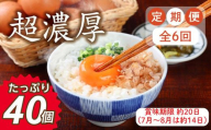 【定期便6回】ミネラルを豊富に含んだ越前赤玉子40個（36個＋卵割れ補償4個）