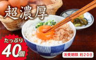 ミネラルを豊富に含んだ越前赤玉子40個（36個＋卵割れ補償4個）