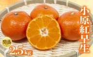 [2026年1月初旬より順次発送][秀品]小原紅早生 約2.5kg みかん 甘い ミカン 蜜柑 フルーツ 果物 くだもの 柑橘 柑橘類 デザート ジュース ゼリー 旬 産地直送 冬の味覚 旬の果物 旬のフルーツ お取り寄せ 取り寄せ