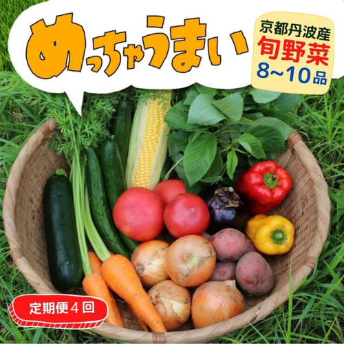 【4回定期便】＜３６９商店＞京都丹波産旬の野菜セット　※全て栽培期間中農薬・化学肥料不使用 ※北海道・沖縄・離島への配送不可 2105472 - 京都府亀岡市