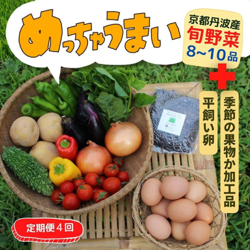 【4回定期便】＜３６９商店＞京都丹波産旬の野菜セットデラックス！平飼い卵10個、季節の果物又は加工品　※栽培期間中農薬・化学肥料不使用※ 野菜 定期便 4回 卵 ※北海道・沖縄・離島への配送不可 2105587 - 京都府亀岡市