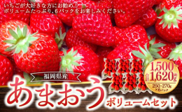 大粒で甘みと酸味のバランスが絶妙な福岡県産『あまおう』です。いちごが大好きな方にお勧め！ボリュームたっぷり、6パックをお楽しみください。G規格のあまおうをお送りいたします。■産地福岡県■保存方法冷蔵■