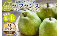 [期間限定発送] ラ・フランス 山形県 3L〜4L 3玉 約1kg [三鷹洋梨園 山形県 高畠町 tk06ays910004] 果物 くだもの フルーツ 洋なし 洋梨 ラフランス