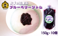 無添加 低糖 ブルーベリージャム 150g × 10個セット【かづの精果園】 ブルーベリー 砂糖不使用 無添加 低糖 ジャム 安心 安全 自然派 ギフト 秋田県 秋田 あきた 鹿角市 鹿角 かづの 小分け パウチ