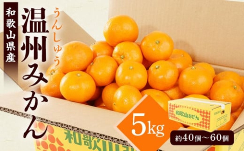 ［先行予約］［2026年11月初旬から11月末頃順次発送］ 和歌山県産温州みかん 約5kg（40個～60個）秀品 こだわり農家厳選！［KG31］ 2105838 - 和歌山県上富田町