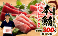 【6月11日～6月15日にお届け】 父の日 の プレゼント に！ 本まぐろ 大とろ 中とろ 赤身 詰合せ 約300g 本鮪 本マグロ 食べ比べ 大トロ 中トロ 赤身 解凍 鮪 漬け マグロ ユッケ 海鮮 ふるさと人気 オンライン決済限定