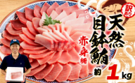 【6月11日～6月15日にお届け】 父の日 の プレゼント に！ 訳あり まぐろ 目鉢まぐろ 赤身 約 1kg 不定型柵 鮪 まぐろ 目鉢鮪 冷凍 鮪 漬け マグロ ユッケ 海鮮 メバチ マグロ オンライン決済限定
