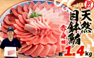 【6月11日～6月15日にお届け】 父の日 の プレゼントに！ 訳あり まぐろ 目鉢まぐろ 赤身 約 1.4kg 不定型柵 鮪 まぐろ 目鉢鮪 冷凍 鮪 漬け マグロ ユッケ 海鮮 メバチ マグロ 人気 まぐろ おいしい まぐろ 静岡 藤枝