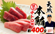 【6月11日～6月15日にお届け】 父の日 の プレゼントに！ 訳あり まぐろ 天然 本鮪 中とろ 約400g 不定型柵 鮪 まぐろ 冷凍 鮪 漬け マグロ ユッケ 海鮮 本マグロ 本まぐろ 人気 まぐろ おいしい まぐろ 鮪 静岡 藤枝
