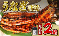 【6月11日～6月15日にお届け】 父の日 の プレゼント に！うなぎ 蒲焼 2尾 (140g×2)  蒲焼 鰻蒲焼 ウナギ かばやき 土用 丑の日  活鰻 自家製蒲焼 たれ 山椒 ギフト 贈答   冷蔵 まとめ買い 静岡県 藤枝 ふるさと人気