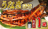 【6月11日～6月15日にお届け】 父の日 の プレゼント に！うなぎ 蒲焼 1尾 140g  鰻蒲焼 ウナギ かばやき 土用 丑の日  活鰻 自家製蒲焼 たれ 山椒 ギフト 贈答   冷蔵 まとめ買い 静岡県 藤枝 ふるさと人気