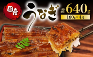 【6月11日～6月15日にお届け】 父の日 の プレゼント に！うなぎ 国産 蒲焼 160g × 4尾 計640g 鰻蒲焼 ウナギ 土用 丑の日  JAS認定 活鰻 自家製蒲焼のたれ 山椒 ギフト 贈答 冷凍 養殖 真空パック レンジ 調理 湯煎 まとめ買い 静岡県 藤枝