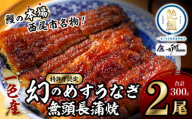 【通常用】一色産めすうなぎ無頭長蒲焼2尾（300g）・I059-19-1