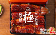 【通常用】三河一色産うなぎ蒲焼特大2尾(320g以上)・R007