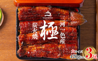 【通常用】三河一色産うなぎ蒲焼大3尾(420g以上)・R006