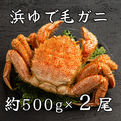 44-37 流氷明け浜ゆで毛ガニ約500g×2尾 2105960 - 北海道紋別市