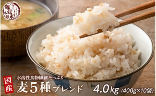 国産麦5種ブレンド 4.0kg(400g×10袋) 2106110 - 静岡県静岡市