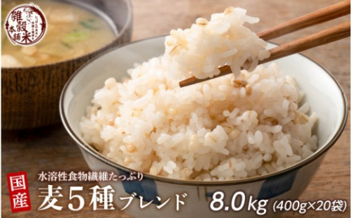国産麦5種ブレンド 8kg(400g×20袋) 2106111 - 静岡県静岡市