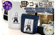 【ramp】自家焙煎 コーヒー豆 6種類 各200g 計1200g（MG）H-1560