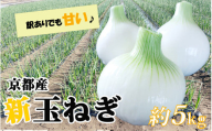期間限定 訳あり 玉ねぎ 約 5kg 京都産 甘い サラダ スープ バーべキュー おかず 新玉 たまねぎ スライス 京都府 久御山町 山城 夏 野菜 有機栽培 生 タマネギ 玉葱