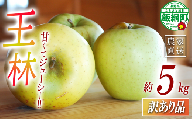 [ あまいりんご / 王林 ] りんご 王林 訳あり 5kg アグリファーム小林 信州の環境にやさしい農産物認証 ( 長野県認証 No50-30-00064 ) 沖縄県への配送不可 2025年11月上旬頃から2025年11月下旬頃まで順次発送予定 令和7年度収穫分 甘いりんご 長野県 飯綱町 [1998]