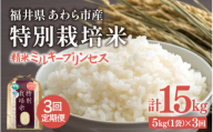 [先行予約][令和7年産]定期便 ≪3ヶ月連続お届け≫ 化学肥料不使用 特別栽培米 ミルキープリンセス 精米 5kg × 3回(合計15kg) / 白米 米 福井県あわら市産 美味しい 特別栽培米 減農薬 安心な米 旨味 甘み もっちり 冷蔵保管米 ※2025年10月上旬より順次発送 [aw010-c007]