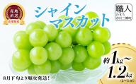 【2025年8月下旬から発送！】市川三郷町産 シャインマスカット 約1～1.2kg（2～3房） 村松農園 [5839-2236]