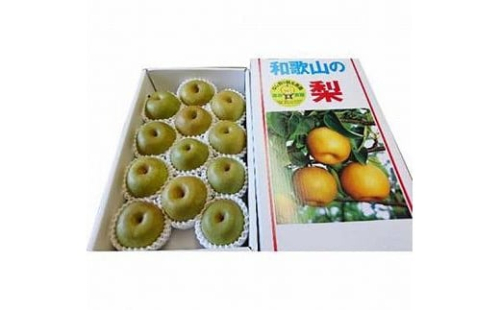 ◆先行予約◆和歌山県産 旬の梨 約4kg【2025年8月中旬以降出荷】［MG75］ 2106410 - 和歌山県那智勝浦町
