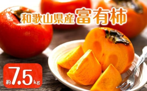 【2025年11月上旬以降発送】◆先行予約◆和歌山県産 富有柿＜ご家庭用＞約7.5kg 満杯詰め［MG2］ 2106411 - 和歌山県那智勝浦町