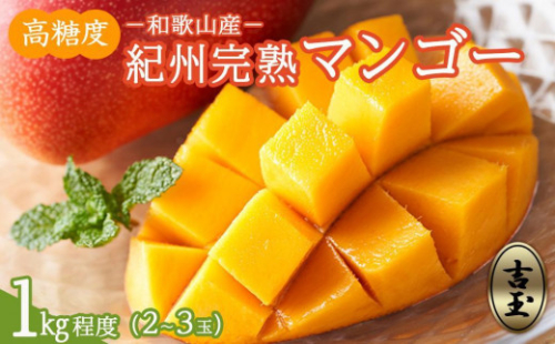 ◆先行予約◆和歌山県産　紀州完熟マンゴー『吉玉』約1kg程度／2～3玉入り［2026年7月下旬から8月下旬頃順次発送予定］［MG20］ 2106413 - 和歌山県那智勝浦町