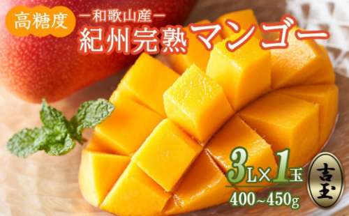 ◆先行予約◆和歌山県産　紀州完熟マンゴー『吉玉』1玉入り［2026年7月下旬から8月下旬頃順次発送予定］［MG21］ 2106414 - 和歌山県那智勝浦町