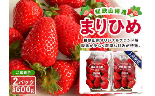 【ご家庭用（簡易包装）】和歌山県産まりひめ 1箱（2パック入り）【2026年1月お届け】［MG59］ 2106416 - 和歌山県那智勝浦町