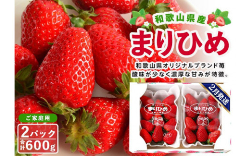 【ご家庭用（簡易包装）】和歌山県産まりひめ 1箱（2パック入り）【2026年2月お届け】［MG60］ 2106417 - 和歌山県那智勝浦町